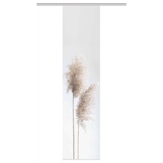 Schmidt Schiebevorhang Irlos 60 x 260 cm Polyester Beige Sand