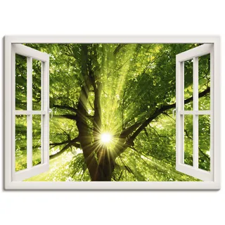 Leinwandbild ARTLAND "Fensterblick Sonne strahlt durch Baum" Bilder Gr. B/H: 70 cm x 50 cm, Bäume Querformat, 1 St., weiß Leinwandbilder auf Keilrahmen gespannt
