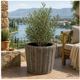 Van der Leeden Rattan Ø 45 x 43 cm Grau