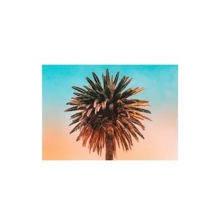 Komar Wandbild Palm Tree Palmen B/L: ca. 50x40 cm