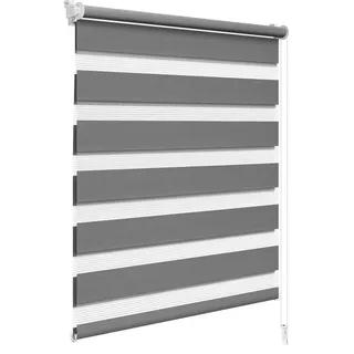 Woltu Doppelrollo 100 x 150 cm grau