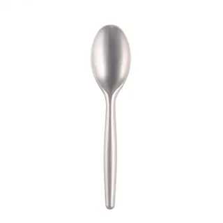 Sovie Tableware Löffel aus Plastik (PS), Perlmut Weiss, 185mm, 20 Stück - Einweg