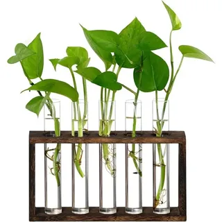 Coocheer - Glasvase mit Reagenzglas, kreativer Holzrahmen, Ornamente, Hydrokultur-Pflanzenbehälter, Büro-Heimdekoration –