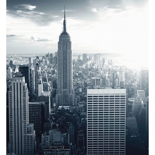 Vliestapete WALL-ART "The Empire State Building" Tapeten Gr. B/L: 2,4 m x 2,6 m, grau Vliestapeten