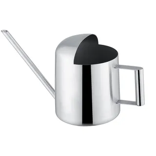 Gießkanne Edelstahl 300ml Silber Moderner Stil Lange Tülle für Zimmerpflanzen Topfpflanzen Bonsai Garten Büro Pflanzenbewässerung Handliche Gießhilfe
