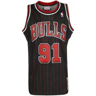 Mitchell & Ness Swingman Jersey Chicago Bulls 1995-96 Dennis Rodman - L