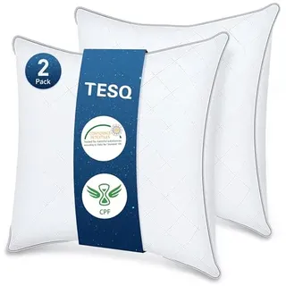 TESQ Kopfkissen, 65 x 65 cm, 2 Stück, Hotelqualität, Öko-TEX
