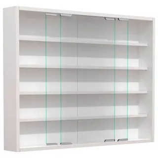 VCM Hängevitrine Wandvitrine Sammel Deko Agisa L