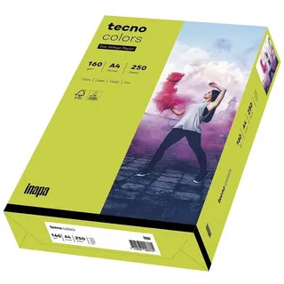 Inapa tecno A4 160 g/m2 250 Blatt