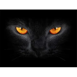 Puzzle 5000 Teile,Puzzle für Erwachsene,Impossible Puzzle, Puzzle farbenfrohes legespiel,Geschicklichkeitsspiel für die ganze Familie-Katze mit gelben Augen,Erwachsenenpuzzle ab 15 Jahren.-61.61x41.5