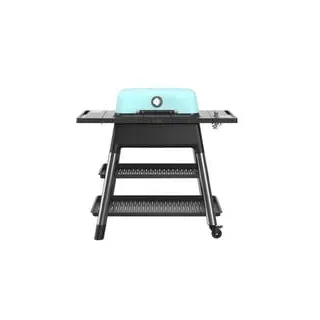 FORCE Gasgrill, Mint - mint, 6,4 kW