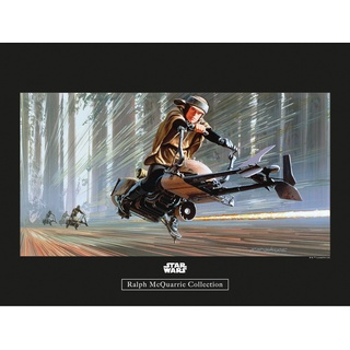Komar Wandbild Star Wars Speeder 40 x 30 cm