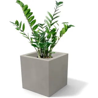Kloris Vase Würfel, quadratisch, Ellico, 25 cm, Polyethylen, grau, Taupe, ganzes Fassungsvermögen, 25 x 25 cm, Höhe und Tiefe 26 cm