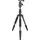 No.1 Carbon Schwarz,