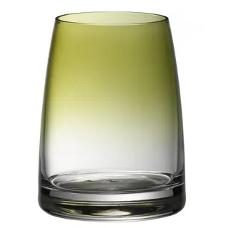 WMF professional Wassergläser DIVINE COLOR 0.325L, spülmaschinenfest, oliv, 6 Stück