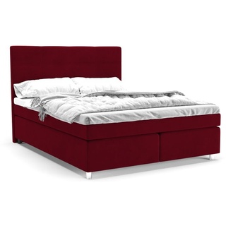 Panda Möbel - Clark Boxspringbett 160x200 cm, kontinentales Doppelbett mit hochwertiger Matratze und Topper - komfortabel, modern, stilvoll - rot