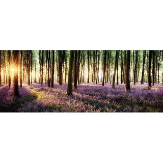 artissimo Glasbild, Beige, Glas, Baum/Pflanze/Natur, Rechteckig, 80x30 cm, Bilder und Zubehör, Wandbilder, Glasbilder
