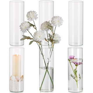 Glasseam Glasvase Blumen Vase, Zylindervasen Glas Vase Durchsichtig 6 Stück, 25 x 8,5 cm Tulpen Vase Hohe Vase Modern Blumenvase Glas Vasen Deko, Minimalistische Tischvase Kerzenständer für Hochzeit