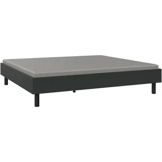 WIMEX Bett Easy, große Auswahl an Größen und Farben, auch in Komforthöhe (Made in Germany), ohne Kopfteil, ideal unter Dachschrägen oder Fenster grau 210 cm x 38 cm