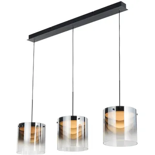 Dieter Knoll LED-Hängeleuchte HÄNGELEUCHTE - L/B/H ca. 100.00x20.00x224.00