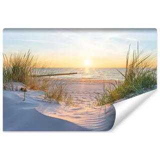 Muralo Fototapete Strand MEER Dünen Sonne Himmel Wasser Landschaft Natur 3D Effekt Moderne Wandtapete Wanddekoration für Wohnzimmer Schlafzimmer Esszimmer Br. 254cm x Hö. 184cm