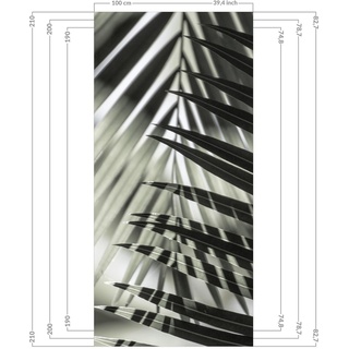 Duschrückwand - Schattenspiel auf Palmenwedel, Material:Hartfolie Smart Glanz 0.32 mm, Größe HxB:1-teilig 200x90 cm