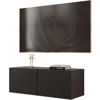 idohome TV-Lowboard 100x36 cm Schwarz Matt Holzwerkstoff