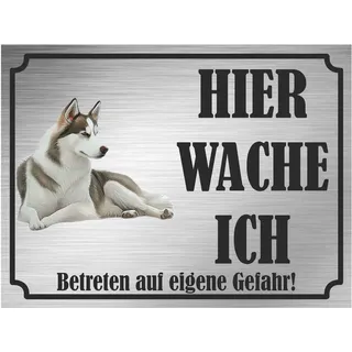 INDIGOS UG - Sibirischer Husky - Schild bedruckt - Hier wache ich - Aluverbundplatte Edelstahl Look - ab 20x15 cm - Spruch - Deko Geschenkidee für Ihren Hund - Zaun - Türschild