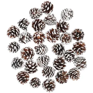 ENLACE 30 Stück Tannenzapfen, ca. 2-3cm, Klein Weihnachten Tannenzapfen mit Weißer Anstrich, Natur Kiefernzapfen Deko für Weihnachtsdeko DIY Handwerk Weihnachtsbaum Herbst Winter Dekoration