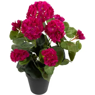 Seidenblumen Roß Künstliche Geranie im Topf 35cm LM Kunstblumen künstliche Pelargonium Blumen Pflanzen (Fuchsia)