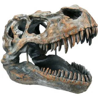 Figuren Shop GmbH Dekoobjekt Totenkopf - Tyrannosaurus Rex - mittel - Fantasy Dekoration bunt