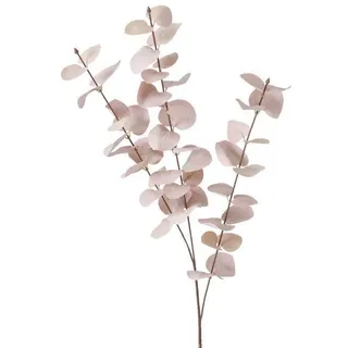 Dekozweig Eukalyptus rosa