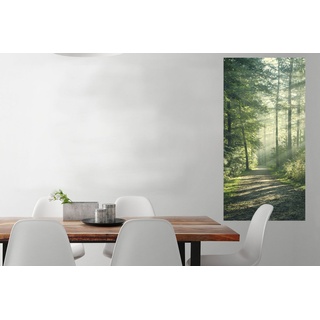 MuchoWow Poster Wald - Weg - Sonne - Bäume - Grün - Natur, (1 St), Wandbild, Deko, Schlafzimmer, Wohnzimmer, Qualitätsdruck Dickes Papier bunt Rechteckig - 60 cm x 120 cm