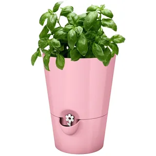 Emsa Kräutertopf für frische Kräuter, Selbstbewässerung, Wasserstandsanzeiger, Ø 13 cm, Altrosa, Fresh Herbs, 517706
