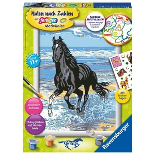 Mal-Set Malen Nach Zahlen Pferde – Pferd Am Strand Mit Sticker
