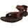 brown 44,5