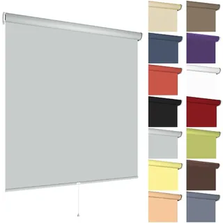 Springrollo Mittelzugrollo Schnapprollo viele Größen und Farben Montage Träger Metall Rollo Vorhang Blickdicht lichtdurchlässig Fenster Sonnenschutz Sichtschutz Blendschutz (100 x 180 cm, Hellgrau)