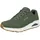 Olive 41