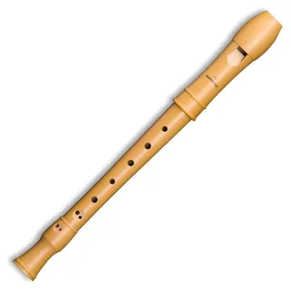 Mollenhauer Canta