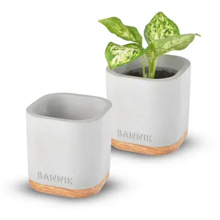 Bannik Blumentopf aus Beton und Holz - Moderner Pflanzkübel - Handgefertigter Pflanztopf (1 St., 7,5x7,5x8cm), runde, glatte, hochwertige Haptik grau