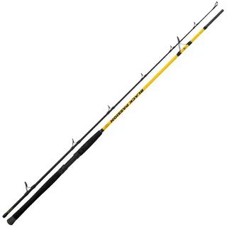 Black Cat Black Passion G2 Spin 2,40m 50-200g Wels-Spinnrute