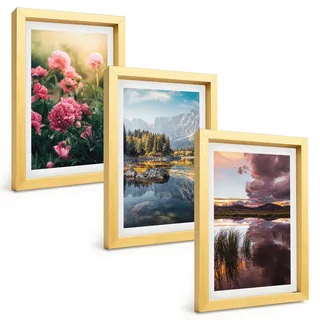 BILDER SET 3er Set - 20x30 cm Goldrahmen - Blumengarten Berge Wasser