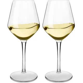 MICHLEY Unzerbrechlich Tritan-Kunststoff weingläser, rotwein trinkglas, gläser fur Camping Party, BPA-frei 440 ml plastik Tasse, 2er Set