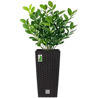 Hoher Blumenkübel 7,2l – 17 x 17 x 33 cm - Pflanzkübel in Rattan-Optik Inkl. Pflanzeinsatz 3L Kunststoff Topf Blumentopf Pflanzenbehälte, Umbra