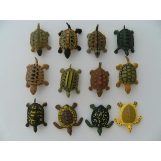 Spieltiere Schildkröten 12erSet; 4 cm; Schildkröte Turtle Tiere Spielzeug Tierfiguren