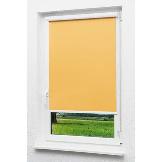 LYSEL Outlet - Kassettenrollo abdunkelnd Aprikose, (B x H) 60cm x 175cm in orange/Aprikose