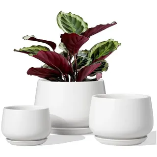 LuxusKollektion Blumentopf Blumentopf Keramik Untersetzer 10 13 16 cm 3er Abflussloch Weiß weiß
