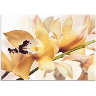 Wandbild ARTLAND "Gelbe Orchidee" Bilder Gr. B/H: 100 cm x 70 cm, Alu-Dibond-Druck Blumenbilder Querformat, 1 St., gelb Kunstdrucke