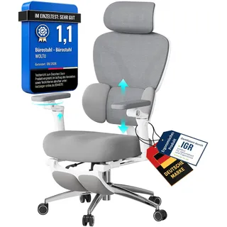 WOLTU Bürostuhl Ergonomisch, Schreibtischstuhl, 6D Armlehnen Grau+Weiß | WOLTU