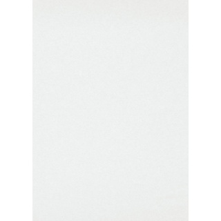 Erismann Glatte Wand Profi - Vlies weiß 25 x 0,75 m